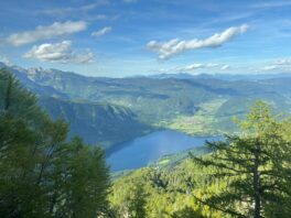 IMG-8562