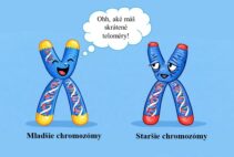 chromozómy