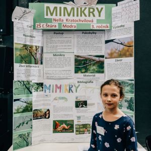 Amavet, Festival 4 zivlov, Mimikry, Nella Kratochvílová