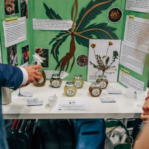 Amavet, Festival 4 zivlov, Vplyv púpavy lekárskej na zdravie človeka, Nataša Ďurková, Šimon Korytko
