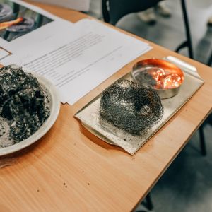 Amavet, Festival 4 zivlov