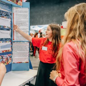 Amavet, Festival 4 zivlov