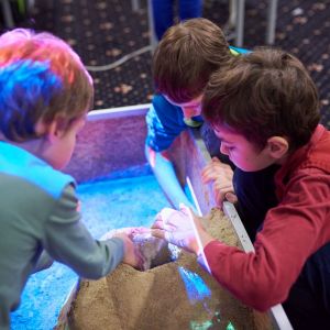 festival vedy a techniky 2018, galeria Amavet, fotografie Amavet, tyzden vedy a techniky