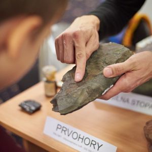 festival vedy a techniky 2018, galeria Amavet, fotografie Amavet, tyzden vedy a techniky